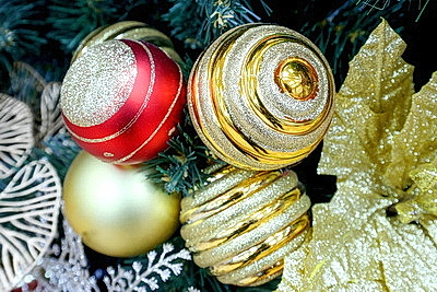 ФОТОХРОНИКА начинает новый информационный день