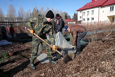 Республиканский субботник: члены Президиума Совета Республики высадили деревья в Ботаническом саду
