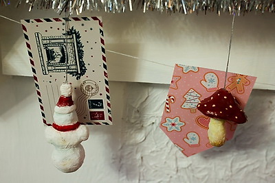 В Глуске открылась усадьба Деда Мороза