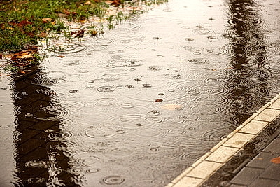 Осенний дождливый день