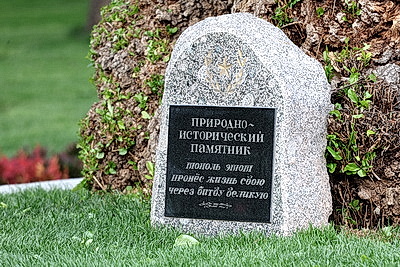 Города мира. Волгоград