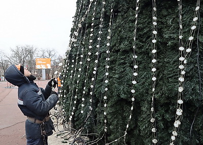 В Гомеле завершается установка новогодней елки