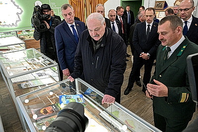 Лукашенко ознакомился с комплексным развитием территории Березинского биосферного заповедника