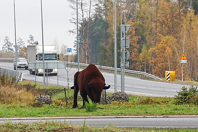 Госпрограмма \"Дороги Беларуси\". Скоростные магистрали, связь агрогородков с райцентрами