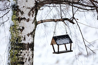 Заснеженный Минск в последние выходные уходящего года