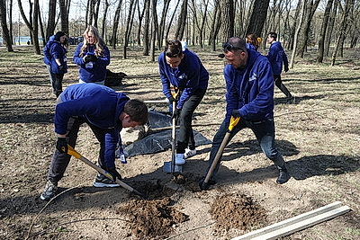 Аллею Памяти городов-героев высадили в столичном парке Победы