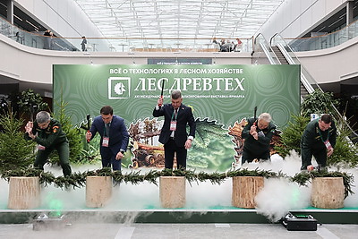 Новинки техники, деревянные дома и дары леса. Выставка \"Лесдревтех\" стартовала в Минске