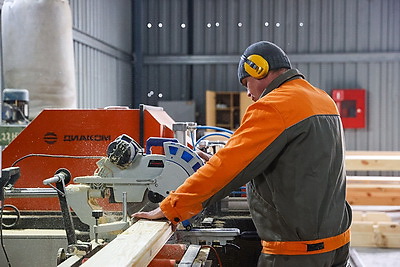 Производства по выпуску поддонов намерены наладить в Дрогичинском и Лунинецком лесхозах