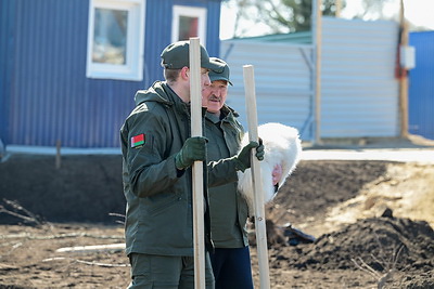 Лукашенко во время субботника высадил деревья в парке Народного единства