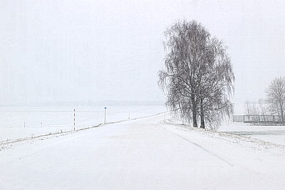 Настоящая зима пришла в Беларусь