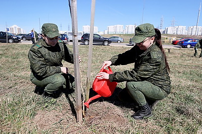Аллея Памяти героев Великой Победы появилась в молодом микрорайоне Гродно