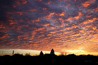 ФОТОХРОНИКА начинает новый информационный день