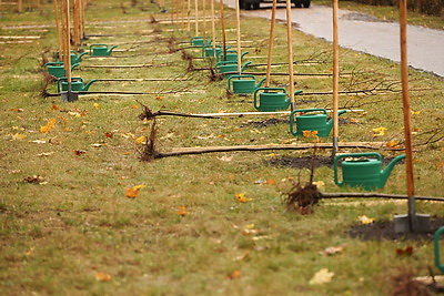 Республиканский субботник проходит в Минске