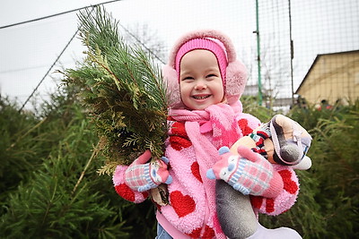 Елочные базары стартуют в Минске