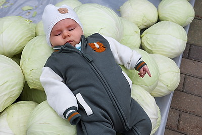 Сельскохозяйственные ярмарки стартовали в Минске