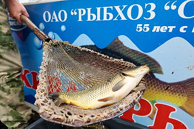 Сельскохозяйственные ярмарки стартовали в Минске