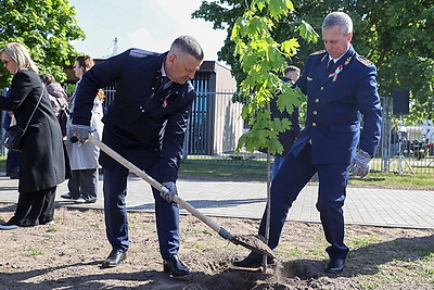 Аллею Памяти заложили возле Брестской крепости в честь 80-летия Победы