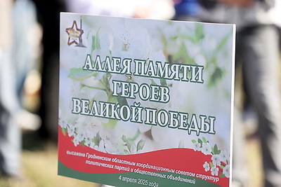 Аллея Памяти героев Великой Победы появилась в молодом микрорайоне Гродно