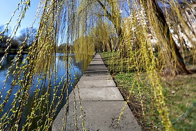 Весенний день в городах Беларуси