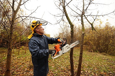 Республиканский субботник проходит в Минске