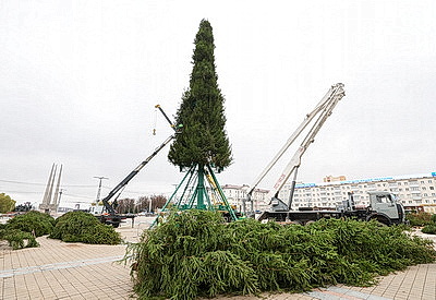 Пиксельные панно и три километра гирлянд. В Витебске идет монтаж главной новогодней елки