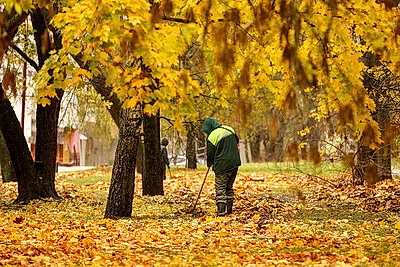 Осенний дождливый день
