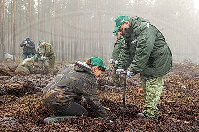 В Беларуси во время акции \"Дай лесу новае жыццё!\" планируется высадить 21 млн деревьев
