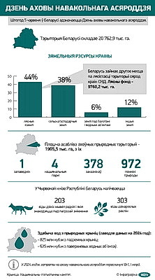 Инфографика. День охраны окружающей среды