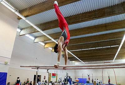 Около 150 юных гимнастов объединила спартакиада в Гомеле