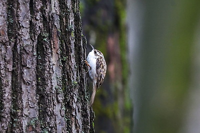 ФОТОХРОНИКА начинает новый информационный день