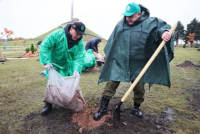 На Кургане Славы на субботнике заложили новый парк в виде крыльев аиста