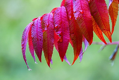 ФОТОХРОНИКА начинает новый информационный день