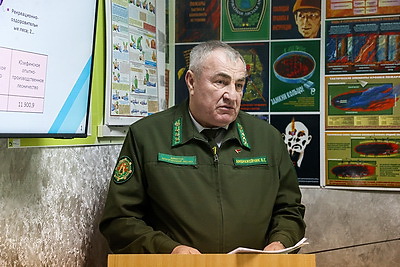 Производства по выпуску поддонов намерены наладить в Дрогичинском и Лунинецком лесхозах