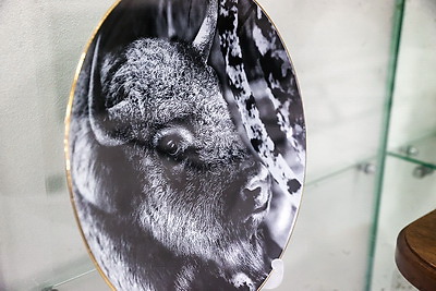 Музей с уникальной коллекцией зубров появился в Бресте