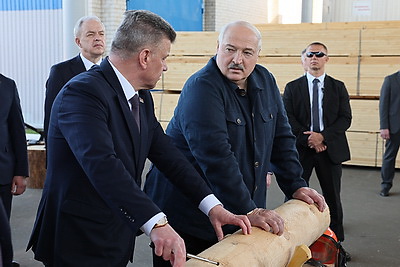 Лукашенко во время рабочей поездки в Витебскую область посетил Оршанский лесхоз