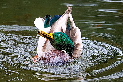 ФОТОХРОНИКА начинает новый информационный день