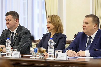 Здравоохранение, культура, бизнес. Петкевич встретилась с почетным консулом Беларуси в Швейцарии