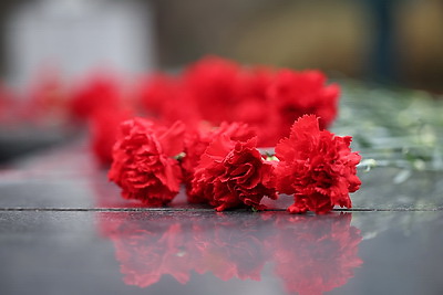 Беларусь и Ростовская область планируют наращивать кооперацию