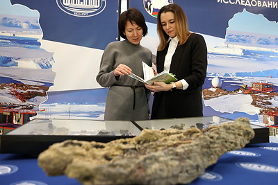 \"Марафон единства\": в Новополоцке представлена выставка НАН \"Взгляд за горизонт\"