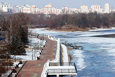Зимний день в Гомельском парке