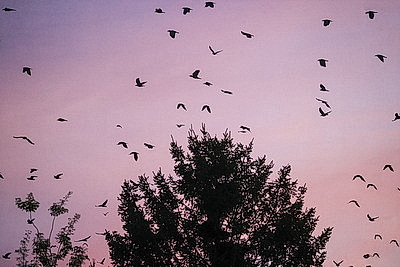 ФОТОХРОНИКА начинает новый информационный день