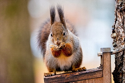 ФОТОХРОНИКА начинает новый информационный день