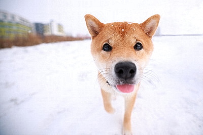 ФОТОХРОНИКА начинает новый информационный день