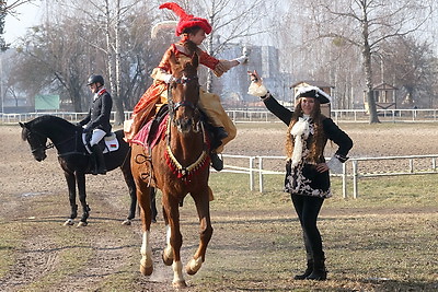 В Гомеле прошла выставка породистых лошадей