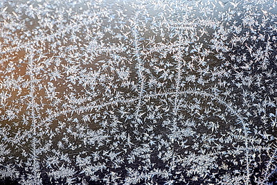 ФОТОХРОНИКА начинает новый информационный день