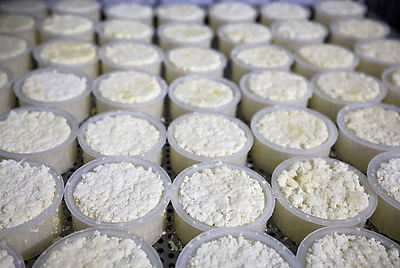 Сливочное масло начнет выпускать частная сыроварня в Городке до конца 2025 года