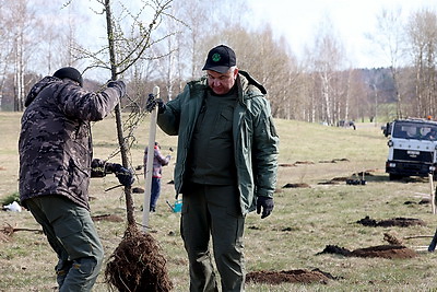 Придать мемориалу новый облик. Турчин провел субботник на Кургане Славы