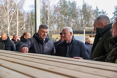 Производства по выпуску поддонов намерены наладить в Дрогичинском и Лунинецком лесхозах