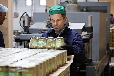 Матусевич ознакомился с работой ряда предприятий Быховского района