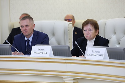 Сукало: белорусский опыт урегулирования неплатежеспособности интересен другим странам